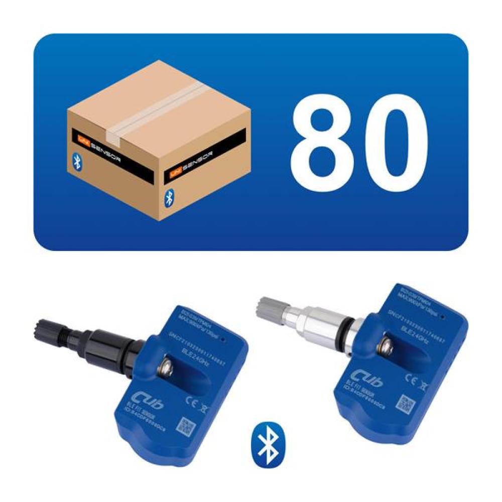 80 Stück BLE Clamp-In Sensor für Tesla